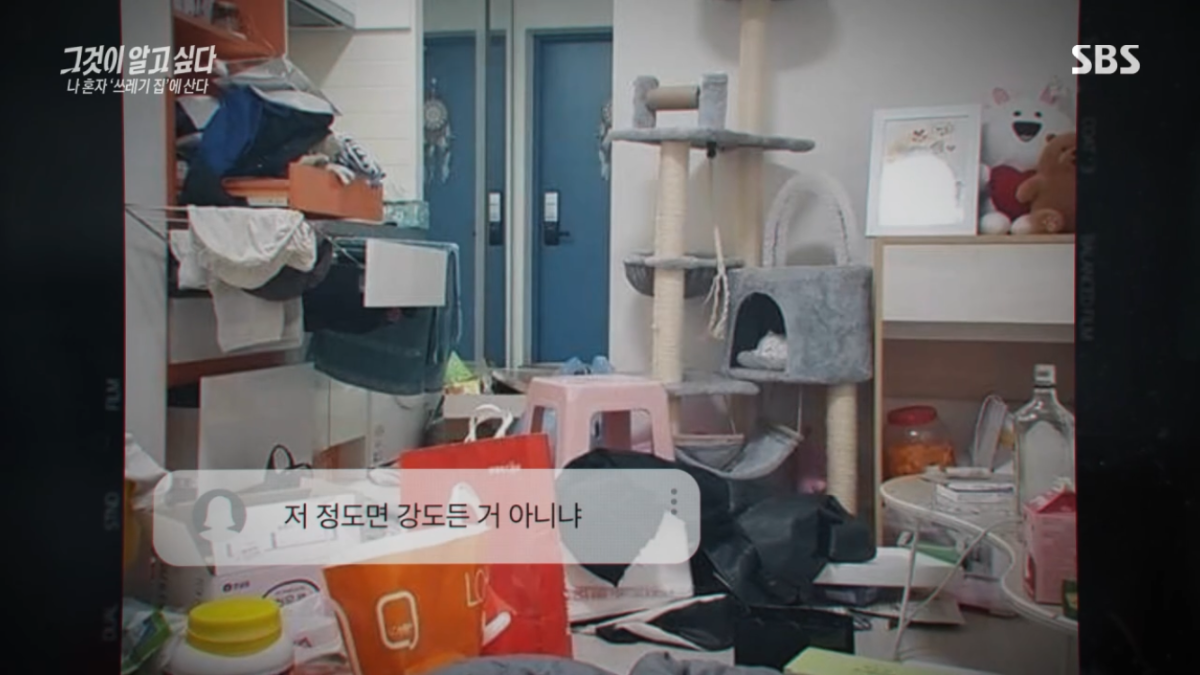 원본 이미지 보기