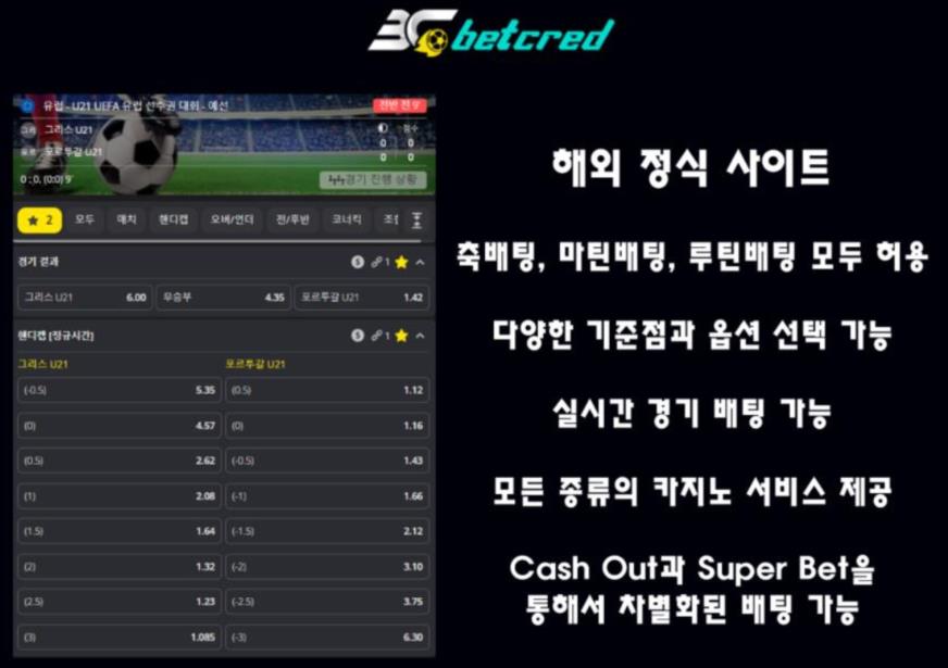 원본 이미지 보기