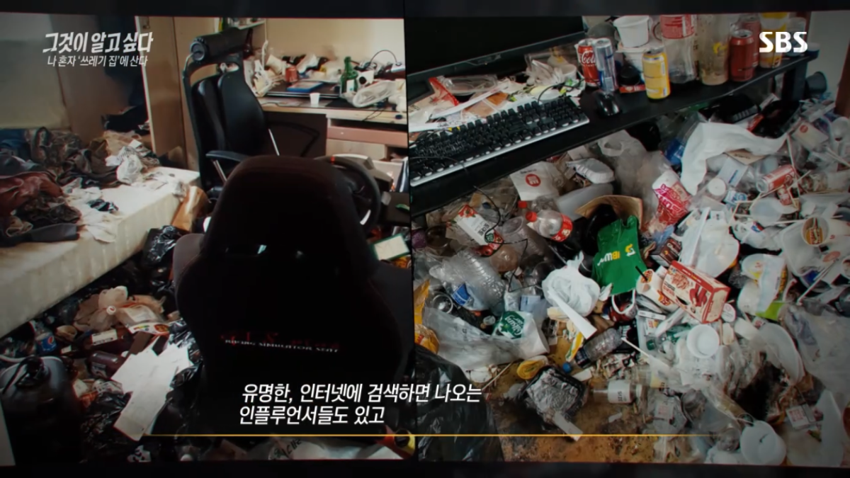 원본 이미지 보기