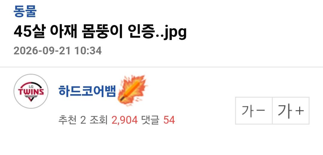 원본 이미지 보기
